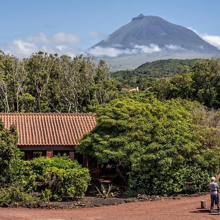 Alma Do Pico - Nature Residence Madalena  Exterior photo