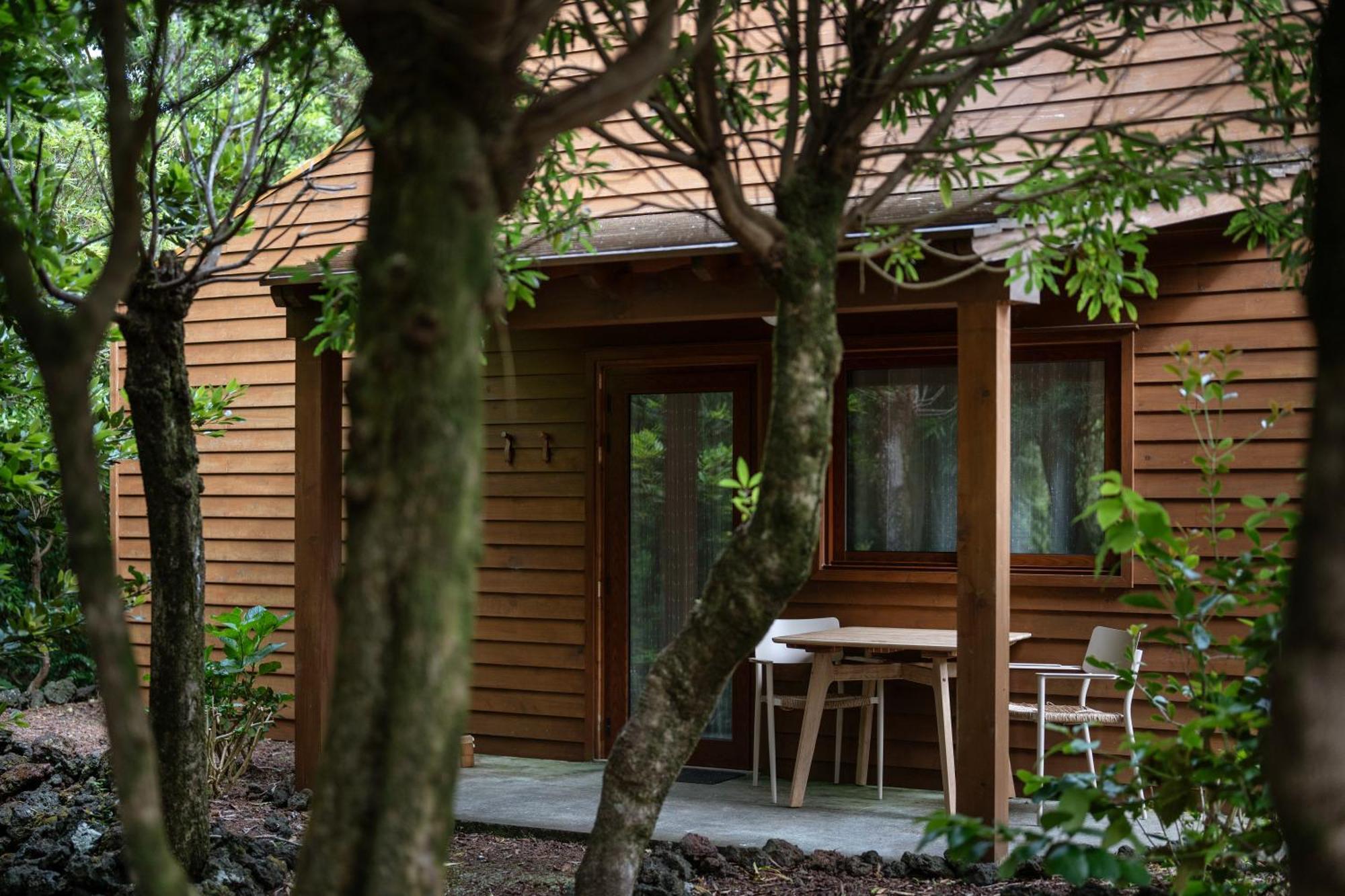 Alma Do Pico - Nature Residence Madalena  Exterior photo