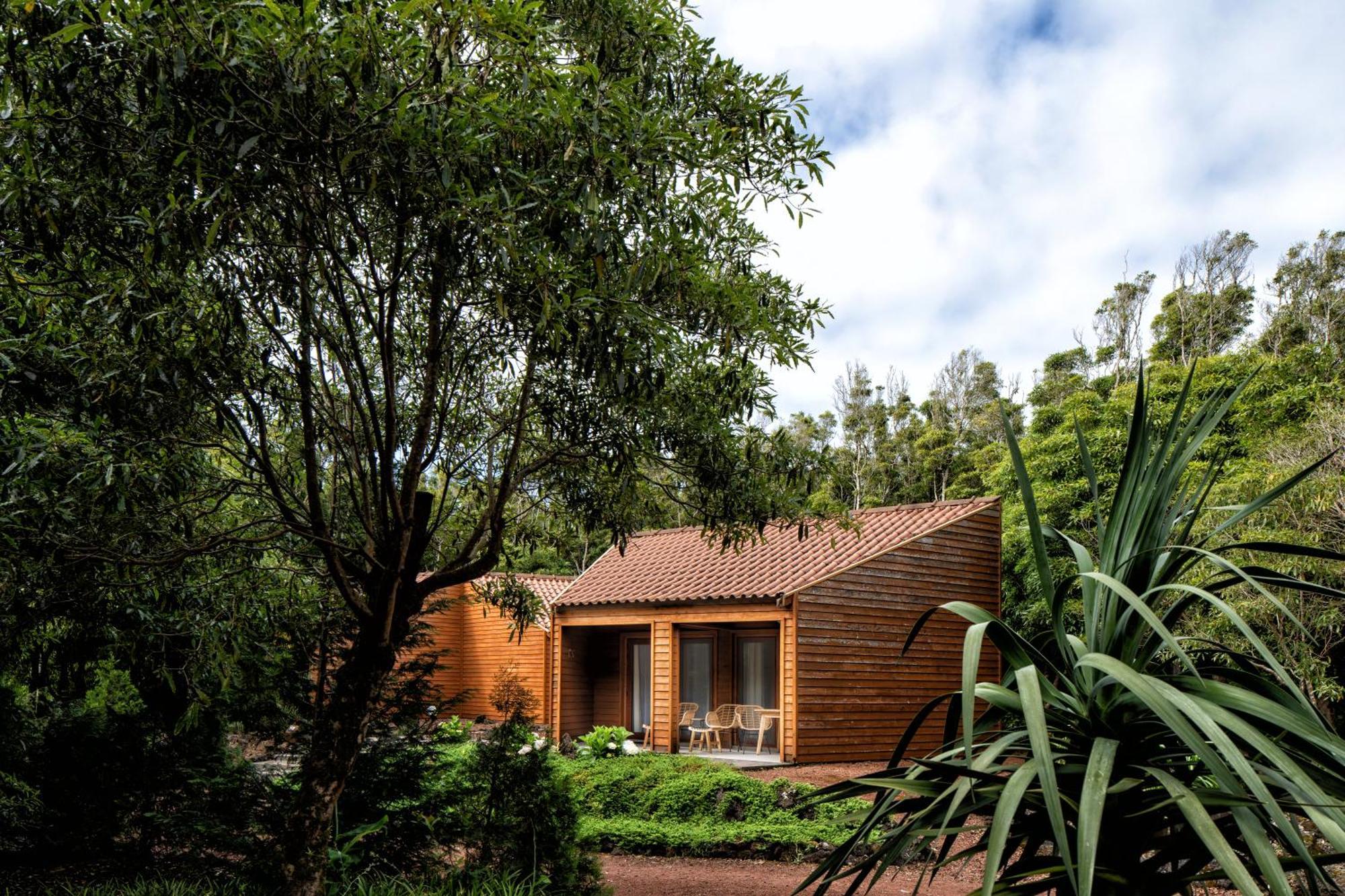 Alma Do Pico - Nature Residence Madalena  Exterior photo