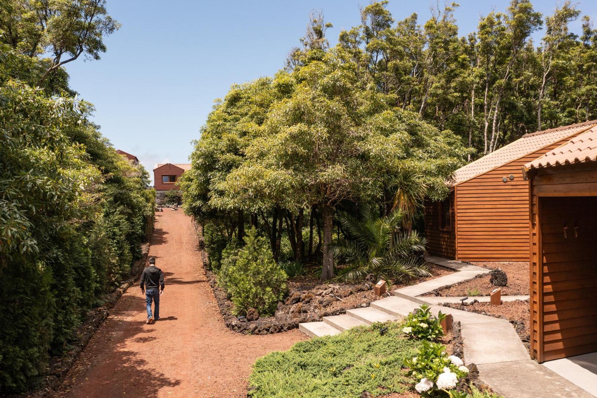 Alma Do Pico - Nature Residence Madalena  Exterior photo